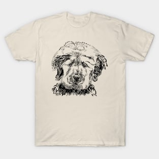 labradoodle portrait T-Shirt